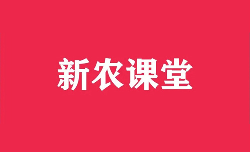 新农品牌说|少走弯路就是最大的捷径